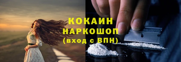 сатива Валдай