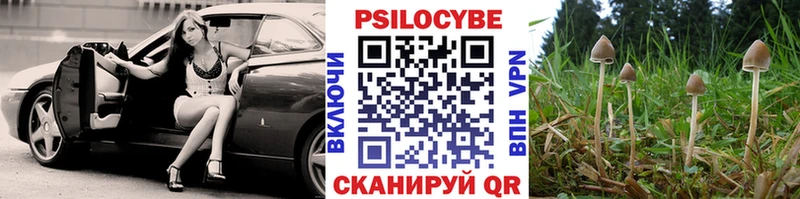 где купить наркотик  Колпашево  Псилоцибиновые грибы ЛСД 