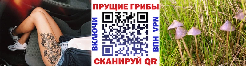 Псилоцибиновые грибы Psilocybine cubensis Колпашево